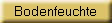 Bodenfeuchte